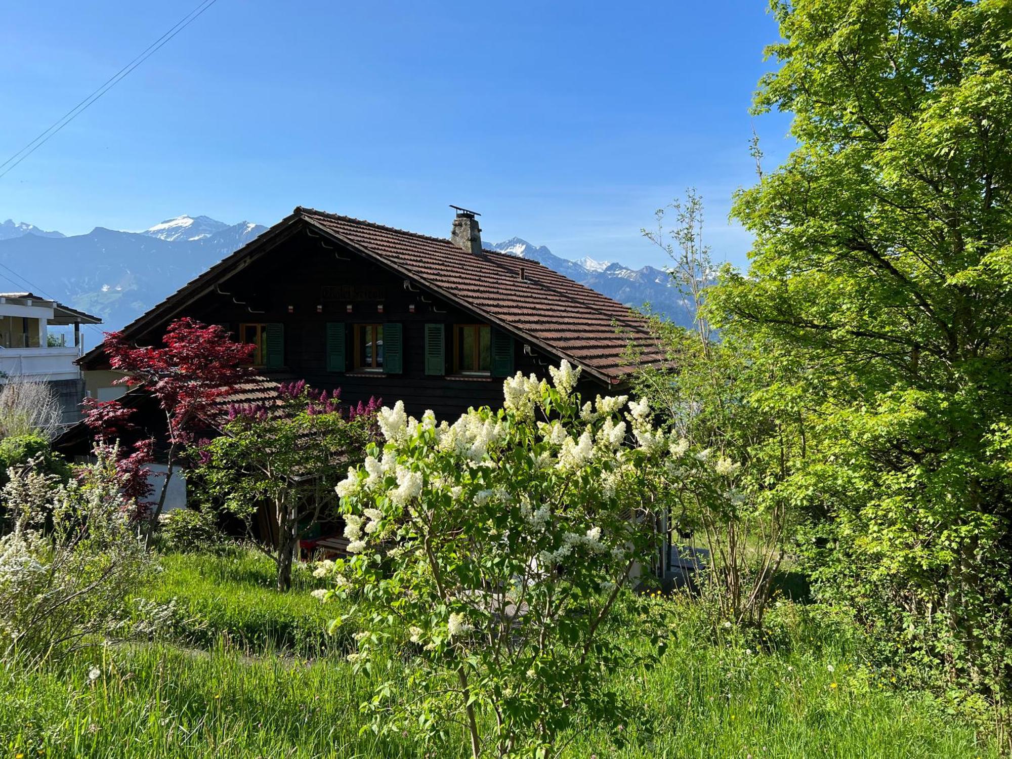 Chalet Friesli Beatenberg Exteriör bild